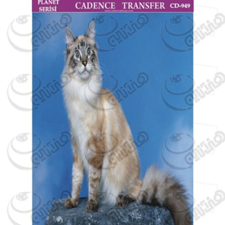 خرید کاغذ ترانسفر، خرید ترانسفر،ترانسفر کادنس، هنری آنلاین، هنر ،هنری