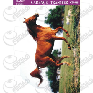 خرید کاغذ ترانسفر، خرید ترانسفر،ترانسفر کادنس، هنری آنلاین، هنر ،هنری