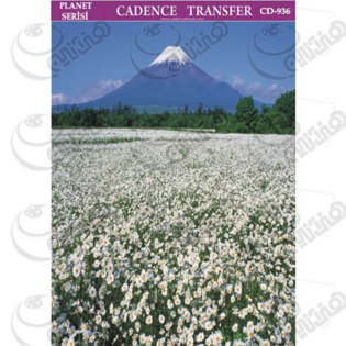 خرید کاغذ ترانسفر، خرید ترانسفر،ترانسفر کادنس، هنری آنلاین، هنر ،هنری