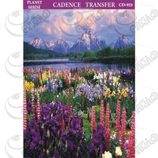 خرید کاغذ ترانسفر، خرید ترانسفر،ترانسفر کادنس، هنری آنلاین، هنر ،هنری