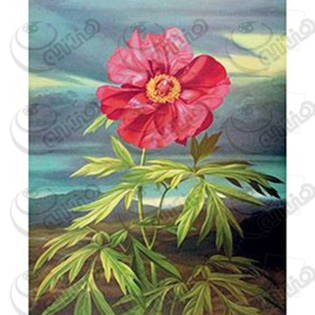 خرید کاغذ ترانسفر، خرید ترانسفر،ترانسفر کادنس، هنری آنلاین، هنر ،هنری