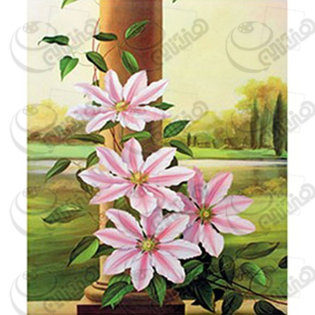 خرید کاغذ ترانسفر، خرید ترانسفر،ترانسفر کادنس، هنری آنلاین، هنر ،هنری