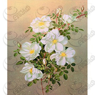 ترانسفردانکار،رنگها،فروش رنگ ،رنگ اکرولیک،هنر،اکرلیک،اکرلیک،کادنس،فروشگاه لوازم هنری،نقاشی،رنگ روغن،هنردست،پتینه،پتینه کاری،فروش لوازم هنری،هنرمند،دانکار،محصولات هنری،دکوپاژ،ترانسفر،فروشگاه کادنس،ترانسفر،ترنسفر،چسب ترنسفر،موادترانسفر،چسب ترانسفر،دکوپاژ،دکوراسیون،دکور،ظروف چوبی خام،ظروف سرامیکی خام،ظروف شیشه ای خام،cadence،dancar،رزین،مجسمه پلی استر،هنری انلاین بزرگ فروشگاه لوازم هنری،هنری انلاین بزرگ فروشگاه لوازم پتینه کاری،هنری انلاین بزرگ فروشگاه لوازم نقاشی،هنری انلاین بزرگ فروشگاه لوازم چرم دوزی،هنری انلاین بزرگ فروشگاه لوازم کاشی معرق،هنری انلاین بزرگ فروشگاه لوازم جعبه های مخملی،هنری انلاین بزرگ فروشگاه  محصولات چوبی،هنری انلاین بزرگ فروشگاه محصولات سرامیکی،