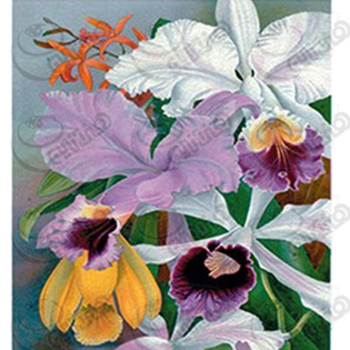 ترانسفردانکار،رنگها،فروش رنگ ،رنگ اکرولیک،هنر،اکرلیک،اکرلیک،کادنس،فروشگاه لوازم هنری،نقاشی،رنگ روغن،هنردست،پتینه،پتینه کاری،فروش لوازم هنری،هنرمند،دانکار،محصولات هنری،دکوپاژ،ترانسفر،فروشگاه کادنس،ترانسفر،ترنسفر،چسب ترنسفر،موادترانسفر،چسب ترانسفر،دکوپاژ،دکوراسیون،دکور،ظروف چوبی خام،ظروف سرامیکی خام،ظروف شیشه ای خام،cadence،dancar،رزین،مجسمه پلی استر،هنری انلاین بزرگ فروشگاه لوازم هنری،هنری انلاین بزرگ فروشگاه لوازم پتینه کاری،هنری انلاین بزرگ فروشگاه لوازم نقاشی،هنری انلاین بزرگ فروشگاه لوازم چرم دوزی،هنری انلاین بزرگ فروشگاه لوازم کاشی معرق،هنری انلاین بزرگ فروشگاه لوازم جعبه های مخملی،هنری انلاین بزرگ فروشگاه  محصولات چوبی،هنری انلاین بزرگ فروشگاه محصولات سرامیکی،