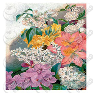 خرید کاغذ ترانسفر، خرید ترانسفر،ترانسفر کادنس، هنری آنلاین، هنر ،هنری