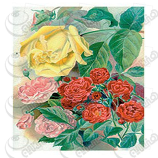 خرید کاغذ ترانسفر، خرید ترانسفر،ترانسفر کادنس، هنری آنلاین، هنر ،هنری