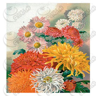 خرید کاغذ ترانسفر، خرید ترانسفر،ترانسفر کادنس، هنری آنلاین، هنر ،هنری