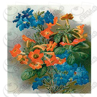 خرید کاغذ ترانسفر، خرید ترانسفر،ترانسفر کادنس، هنری آنلاین، هنر ،هنری