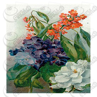 خرید کاغذ ترانسفر، خرید ترانسفر،ترانسفر کادنس، هنری آنلاین، هنر ،هنری