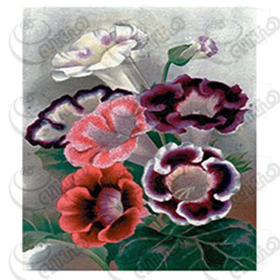 خرید کاغذ ترانسفر، خرید ترانسفر،ترانسفر کادنس، هنری آنلاین، هنر ،هنری