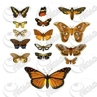 ترانسفردانکار،رنگها،فروش رنگ ،رنگ اکرولیک،هنر،اکرلیک،اکرلیک،کادنس،فروشگاه لوازم هنری،نقاشی،رنگ روغن،هنردست،پتینه،پتینه کاری،فروش لوازم هنری،هنرمند،دانکار،محصولات هنری،دکوپاژ،ترانسفر،فروشگاه کادنس،ترانسفر،ترنسفر،چسب ترنسفر،موادترانسفر،چسب ترانسفر،دکوپاژ،دکوراسیون،دکور،ظروف چوبی خام،ظروف سرامیکی خام،ظروف شیشه ای خام،cadence،dancar،رزین،مجسمه پلی استر،هنری انلاین بزرگ فروشگاه لوازم هنری،هنری انلاین بزرگ فروشگاه لوازم پتینه کاری،هنری انلاین بزرگ فروشگاه لوازم نقاشی،هنری انلاین بزرگ فروشگاه لوازم چرم دوزی،هنری انلاین بزرگ فروشگاه لوازم کاشی معرق،هنری انلاین بزرگ فروشگاه لوازم جعبه های مخملی،هنری انلاین بزرگ فروشگاه  محصولات چوبی،هنری انلاین بزرگ فروشگاه محصولات سرامیکی،