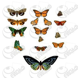 ترانسفردانکار،رنگها،فروش رنگ ،رنگ اکرولیک،هنر،اکرلیک،اکرلیک،کادنس،فروشگاه لوازم هنری،نقاشی،رنگ روغن،هنردست،پتینه،پتینه کاری،فروش لوازم هنری،هنرمند،دانکار،محصولات هنری،دکوپاژ،ترانسفر،فروشگاه کادنس،ترانسفر،ترنسفر،چسب ترنسفر،موادترانسفر،چسب ترانسفر،دکوپاژ،دکوراسیون،دکور،ظروف چوبی خام،ظروف سرامیکی خام،ظروف شیشه ای خام،cadence،dancar،رزین،مجسمه پلی استر،هنری انلاین بزرگ فروشگاه لوازم هنری،هنری انلاین بزرگ فروشگاه لوازم پتینه کاری،هنری انلاین بزرگ فروشگاه لوازم نقاشی،هنری انلاین بزرگ فروشگاه لوازم چرم دوزی،هنری انلاین بزرگ فروشگاه لوازم کاشی معرق،هنری انلاین بزرگ فروشگاه لوازم جعبه های مخملی،هنری انلاین بزرگ فروشگاه  محصولات چوبی،هنری انلاین بزرگ فروشگاه محصولات سرامیکی،