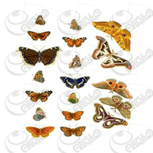 ترانسفردانکار،رنگها،فروش رنگ ،رنگ اکرولیک،هنر،اکرلیک،اکرلیک،کادنس،فروشگاه لوازم هنری،نقاشی،رنگ روغن،هنردست،پتینه،پتینه کاری،فروش لوازم هنری،هنرمند،دانکار،محصولات هنری،دکوپاژ،ترانسفر،فروشگاه کادنس،ترانسفر،ترنسفر،چسب ترنسفر،موادترانسفر،چسب ترانسفر،دکوپاژ،دکوراسیون،دکور،ظروف چوبی خام،ظروف سرامیکی خام،ظروف شیشه ای خام،cadence،dancar،رزین،مجسمه پلی استر،هنری انلاین بزرگ فروشگاه لوازم هنری،هنری انلاین بزرگ فروشگاه لوازم پتینه کاری،هنری انلاین بزرگ فروشگاه لوازم نقاشی،هنری انلاین بزرگ فروشگاه لوازم چرم دوزی،هنری انلاین بزرگ فروشگاه لوازم کاشی معرق،هنری انلاین بزرگ فروشگاه لوازم جعبه های مخملی،هنری انلاین بزرگ فروشگاه  محصولات چوبی،هنری انلاین بزرگ فروشگاه محصولات سرامیکی،