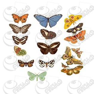 ترانسفردانکار،رنگها،فروش رنگ ،رنگ اکرولیک،هنر،اکرلیک،اکرلیک،کادنس،فروشگاه لوازم هنری،نقاشی،رنگ روغن،هنردست،پتینه،پتینه کاری،فروش لوازم هنری،هنرمند،دانکار،محصولات هنری،دکوپاژ،ترانسفر،فروشگاه کادنس،ترانسفر،ترنسفر،چسب ترنسفر،موادترانسفر،چسب ترانسفر،دکوپاژ،دکوراسیون،دکور،ظروف چوبی خام،ظروف سرامیکی خام،ظروف شیشه ای خام،cadence،dancar،رزین،مجسمه پلی استر،هنری انلاین بزرگ فروشگاه لوازم هنری،هنری انلاین بزرگ فروشگاه لوازم پتینه کاری،هنری انلاین بزرگ فروشگاه لوازم نقاشی،هنری انلاین بزرگ فروشگاه لوازم چرم دوزی،هنری انلاین بزرگ فروشگاه لوازم کاشی معرق،هنری انلاین بزرگ فروشگاه لوازم جعبه های مخملی،هنری انلاین بزرگ فروشگاه  محصولات چوبی،هنری انلاین بزرگ فروشگاه محصولات سرامیکی،