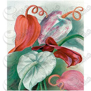 خرید کاغذ ترانسفر، خرید ترانسفر،ترانسفر کادنس، هنری آنلاین، هنر ،هنری