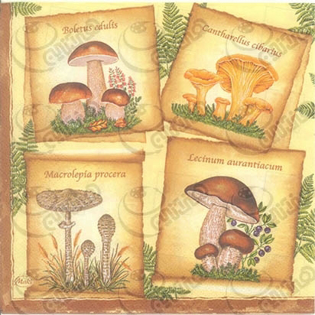 خرید دستمال طرح دار آلمانی مناسب برای دکوپاژ _ هنری آنلاین _ دیجی کالا