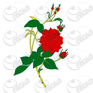 خرید کاغذ ترانسفر، خرید ترانسفر،ترانسفر کادنس، هنری آنلاین، هنر ،هنری