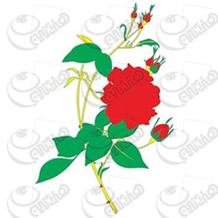 خرید کاغذ ترانسفر، خرید ترانسفر،ترانسفر کادنس، هنری آنلاین، هنر ،هنری