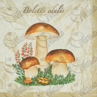 خرید دستمال طرح دار آلمانی مناسب برای دکوپاژ _ هنری آنلاین _ دیجی کالا