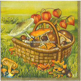 خرید دستمال طرح دار آلمانی مناسب برای دکوپاژ _ هنری آنلاین _ دیجی کالا