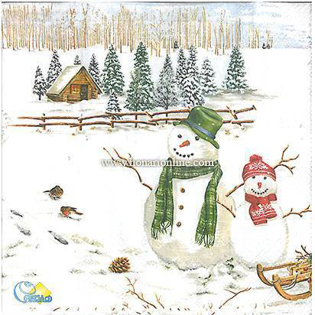 خرید دستمال طرح دار آلمانی مناسب برای دکوپاژ _ هنری آنلاین _ دیجی کالا