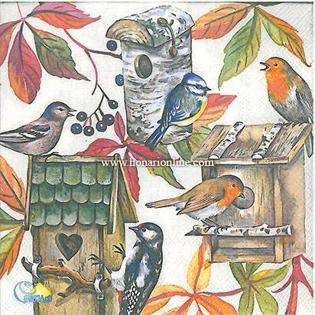 خرید دستمال طرح دار آلمانی مناسب برای دکوپاژ _ هنری آنلاین _ دیجی کالا