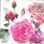 خرید دستمال طرح دار آلمانی مناسب برای دکوپاژ _ هنری آنلاین _ دیجی کالا