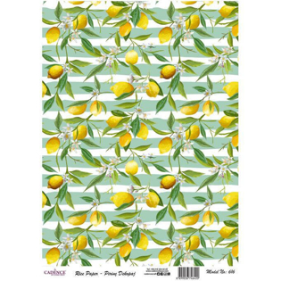 خرید کاغذ دکوپاژ ،خرید طرح دکوپاژ ،خرید دکوپاژ در هنری آنلاین ،هنر ،هنری