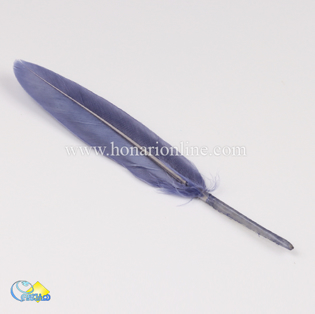 خرید پر با قیمت مناسب برای دریم کچر _هنری انلاین