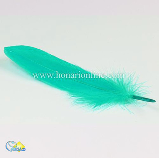 خرید پر با قیمت مناسب برای دریم کچر _هنری انلاین