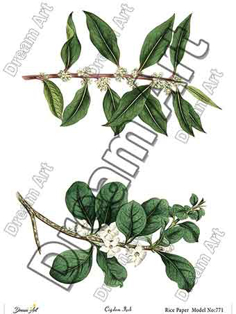 خرید کاغذ دکوپاژ ،خرید دکوپاژ برنجی ، خرید وسایل دکوپاژ در هنری آنلاین ،هنر ،هنری