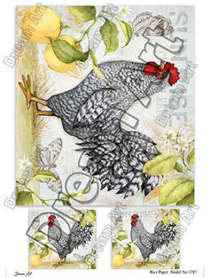 خرید کاغذ دکوپاژ ،خرید دکوپاژ برنجی ، خرید وسایل دکوپاژ در هنری آنلاین ،هنر ،هنری