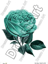 خرید کاغذ دکوپاژ ،خرید دکوپاژ برنجی ، خرید وسایل دکوپاژ در هنری آنلاین ،هنر ،هنری