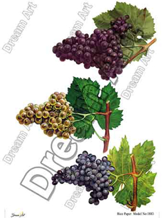 خرید کاغذ دکوپاژ ،خرید دکوپاژ برنجی ، خرید وسایل دکوپاژ در هنری آنلاین ،هنر ،هنری