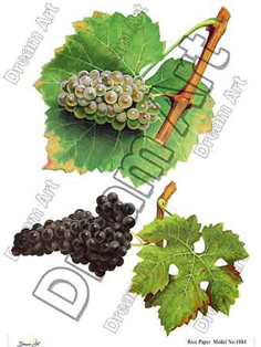 خرید کاغذ دکوپاژ ،خرید دکوپاژ برنجی ، خرید وسایل دکوپاژ در هنری آنلاین ،هنر ،هنری