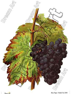 خرید کاغذ دکوپاژ ،خرید دکوپاژ برنجی ، خرید وسایل دکوپاژ در هنری آنلاین ،هنر ،هنری