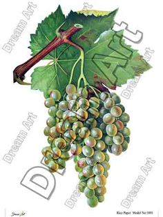 خرید کاغذ دکوپاژ ،خرید دکوپاژ برنجی ، خرید وسایل دکوپاژ در هنری آنلاین ،هنر ،هنری