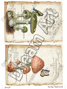 خرید کاغذ دکوپاژ ،خرید دکوپاژ برنجی ، خرید وسایل دکوپاژ در هنری آنلاین ،هنر ،هنری