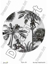 خرید کاغذ دکوپاژ ،خرید دکوپاژ برنجی ، خرید وسایل دکوپاژ در هنری آنلاین ،هنر ،هنری