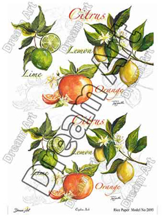 خرید کاغذ دکوپاژ ،خرید دکوپاژ برنجی ، خرید وسایل دکوپاژ در هنری آنلاین ،هنر ،هنری